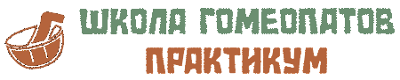 Парактикум Школы Гомеопатов